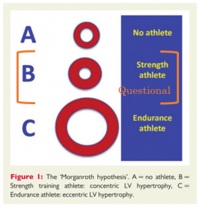 図１　Morganroth hypothesis　　文献[2]　より改変引用